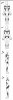 Renji_Tattoo_Template_by_Cacodaemonia2.jpg